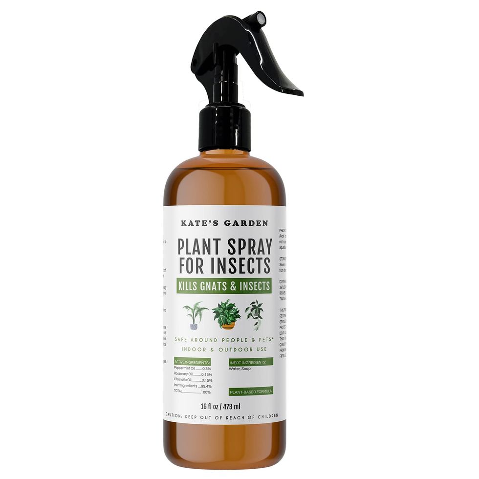 Plant Spray Bottle for Insects 