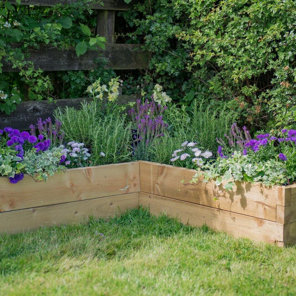 Caledonian Wooden Raised Flower Bed