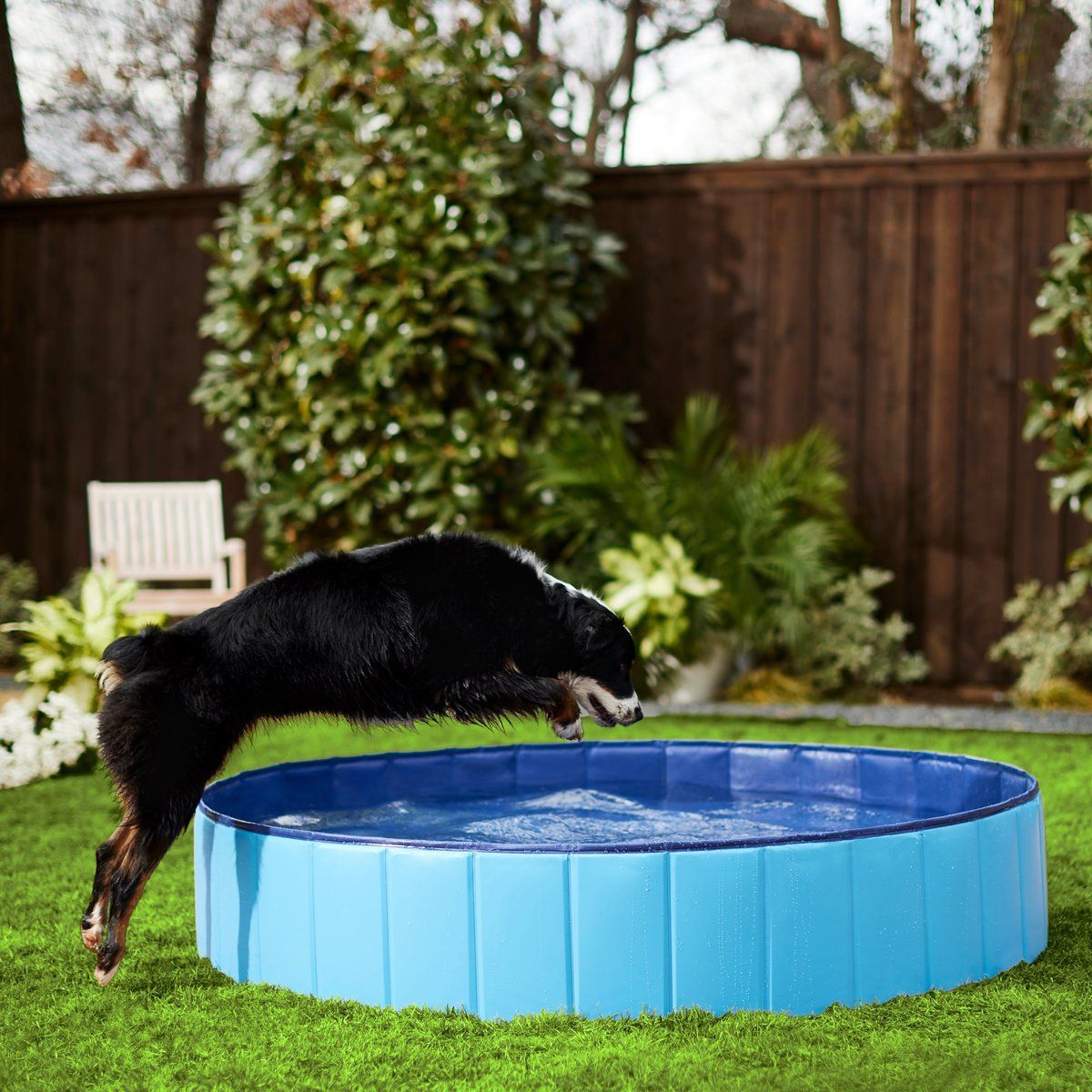 Best deals dog pool