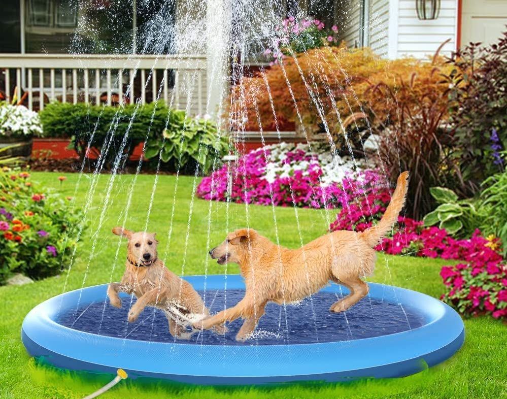 Puncture proof 2024 dog pools