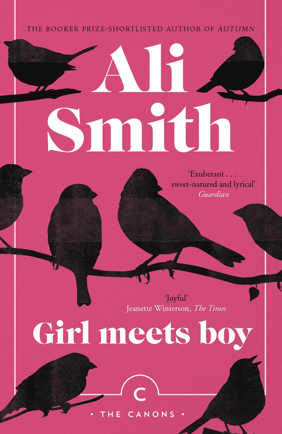 Girl Meets Boy by Ali Smith 