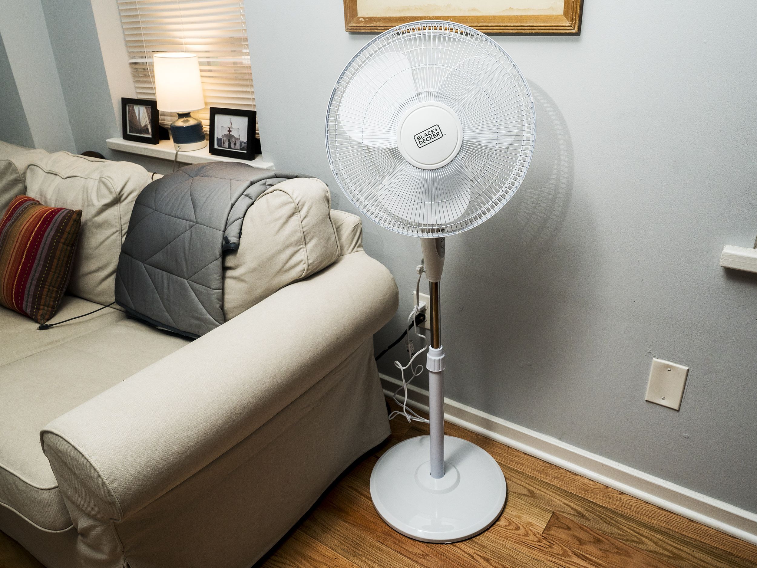 Best pedestal hot sale fan 2019