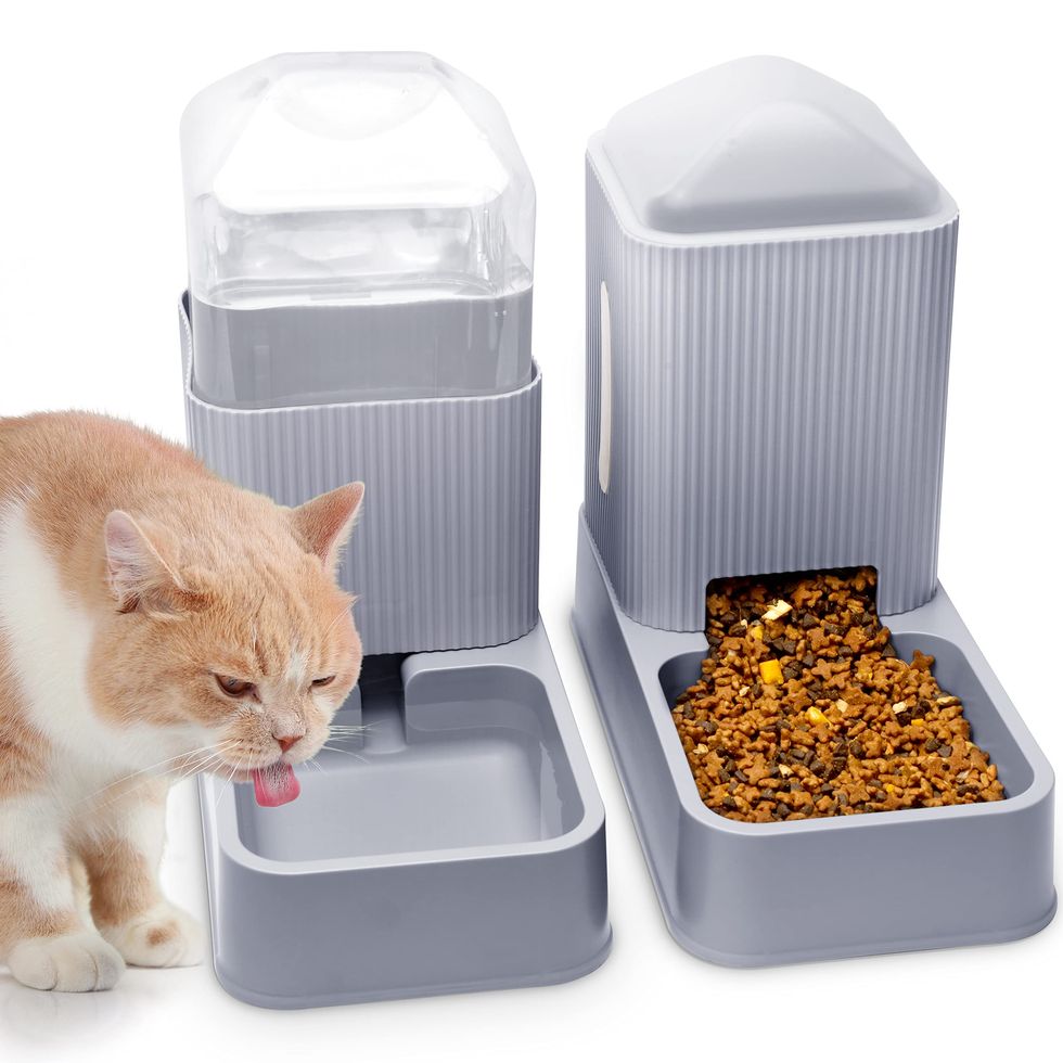 Comedero automático para gatos, dispensador inteligente de alimentos para  mascotas con control de aplicación, alimentador automático habilitado para
