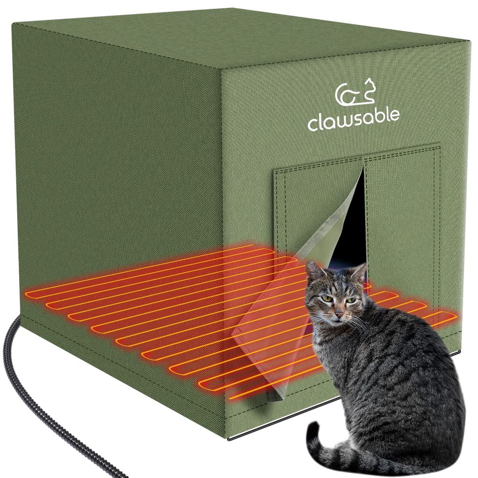 Large Heated Outdoor Cat House for Winter