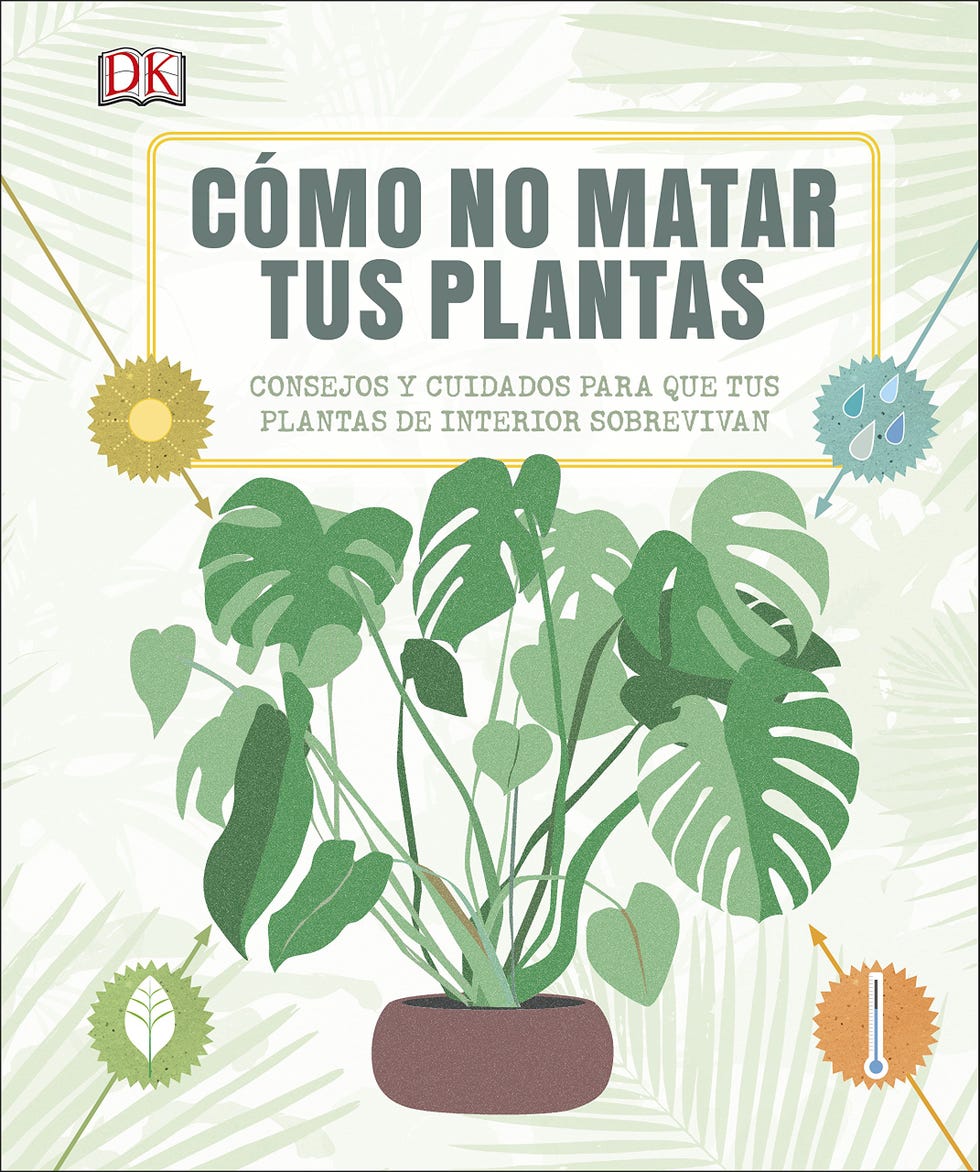Cómo no matar tus plantas. Consejos y cuidados para que tus plantas sobrevivan