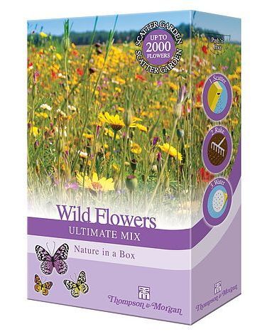 Wildflowers 'Ultimate Mix' - Seeds