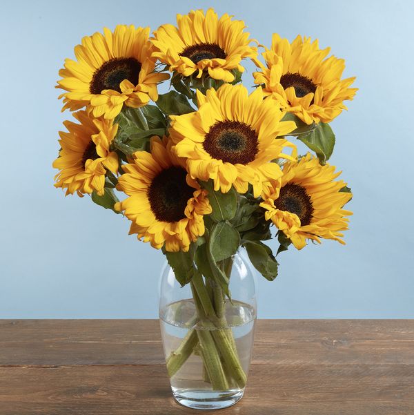Funky Pigeon Sunflower Bouquet