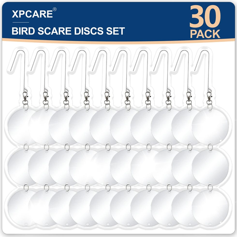 Double-Sided Bird Scare Reflective Discs (30-Pack)