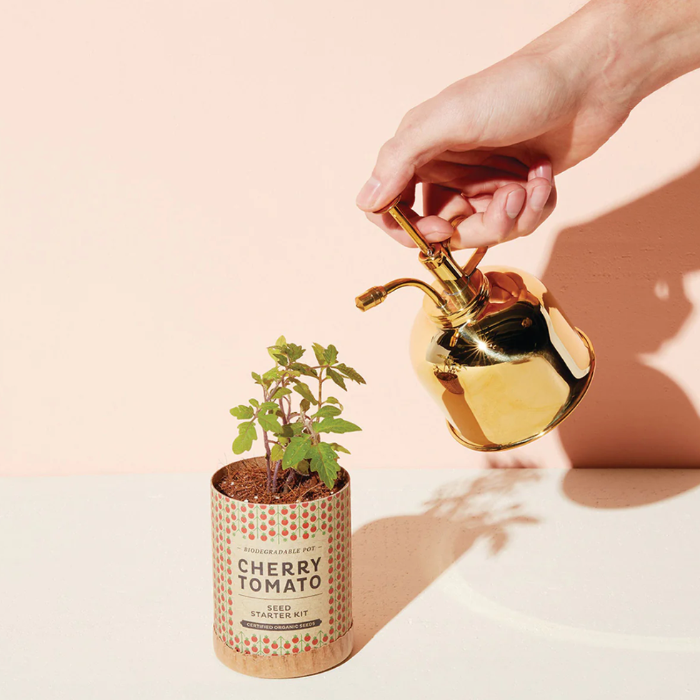 Brass Mister