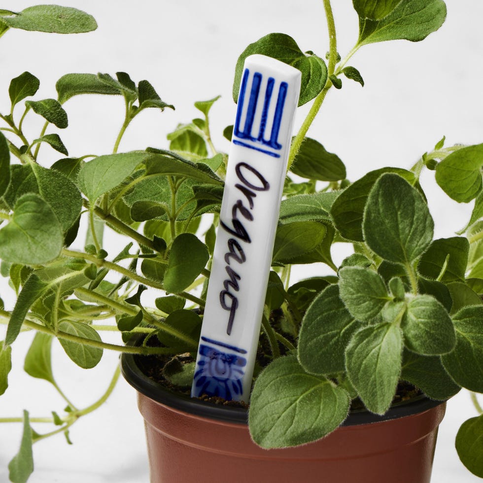 Blue & White Ceramic Plant Markers