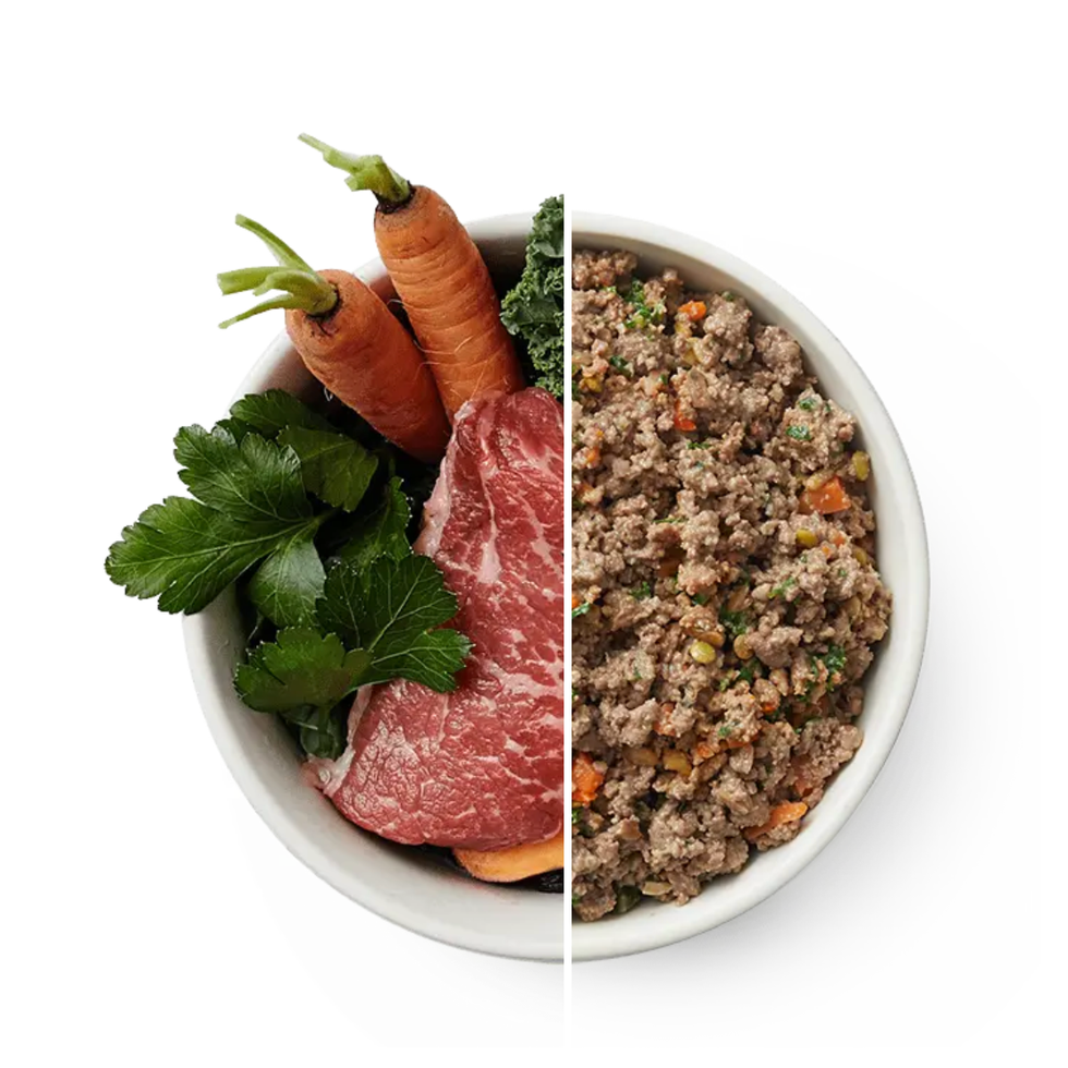 Fresh Dog Food Fresh Dog Food