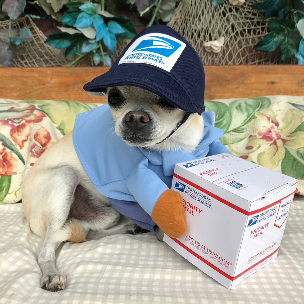 Dog Mail Carrier Costume