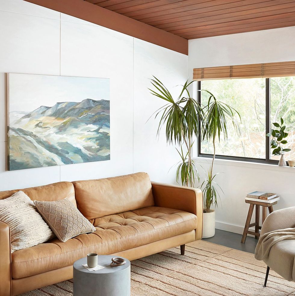 16 Best Living Room Rugs In 2024