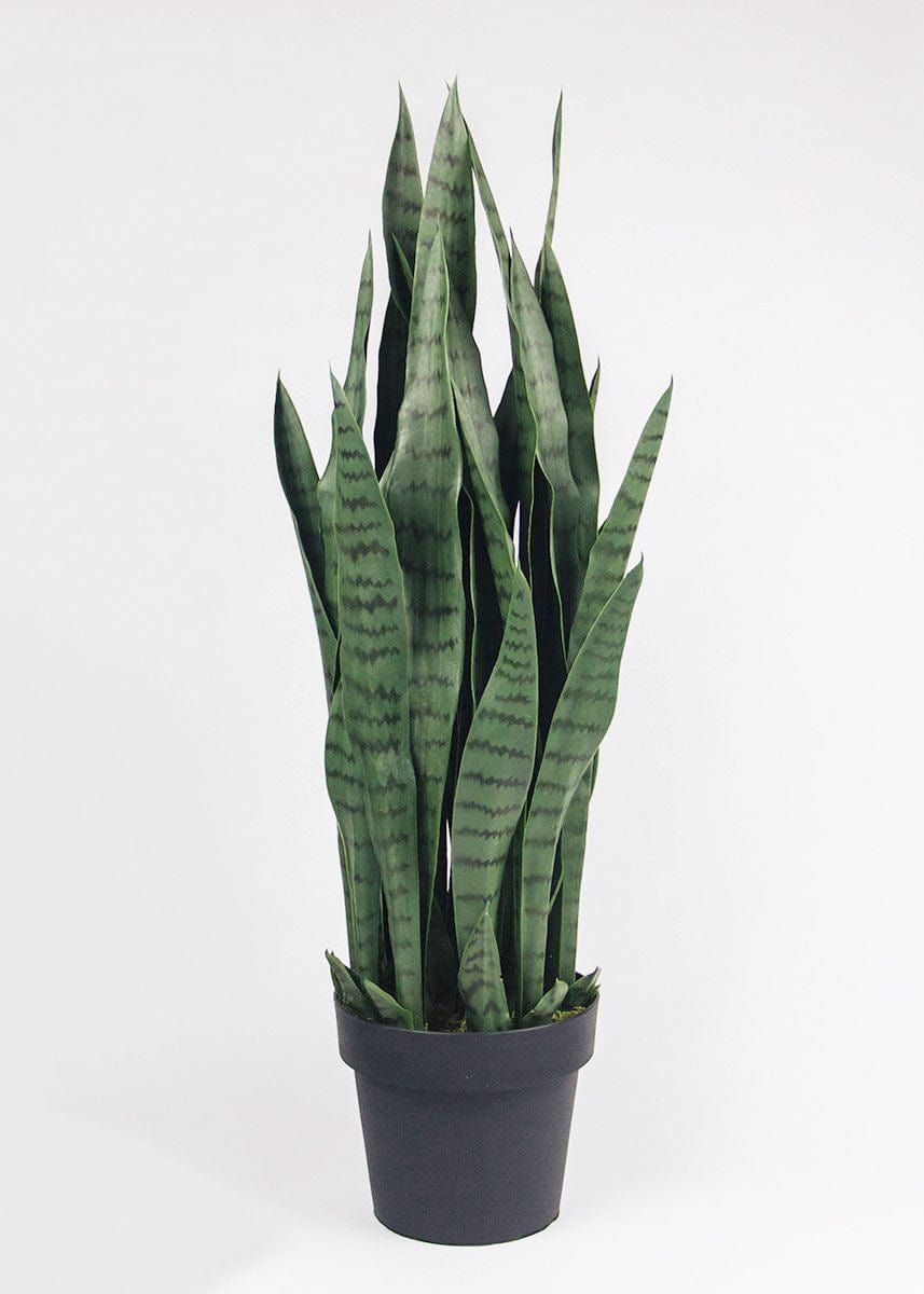 UV Treated Outdoor Potted Snake Plant - 35"