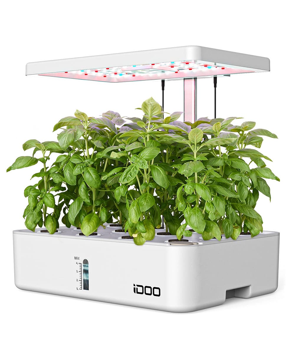 Indoor Herb Garden Kit