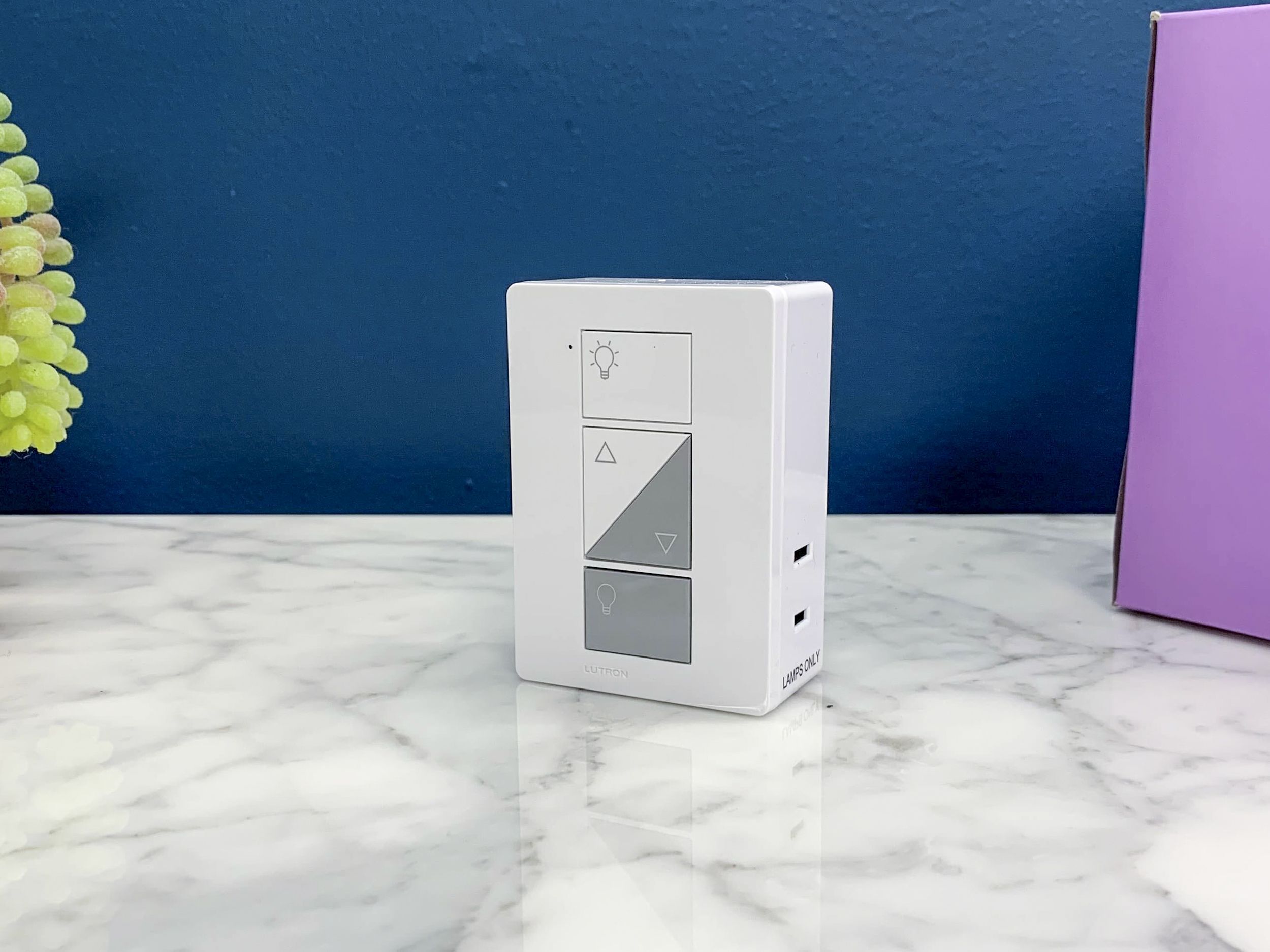 Lutron caseta 2024 smart outlet