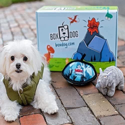 Monthly Dog Subscription Box 