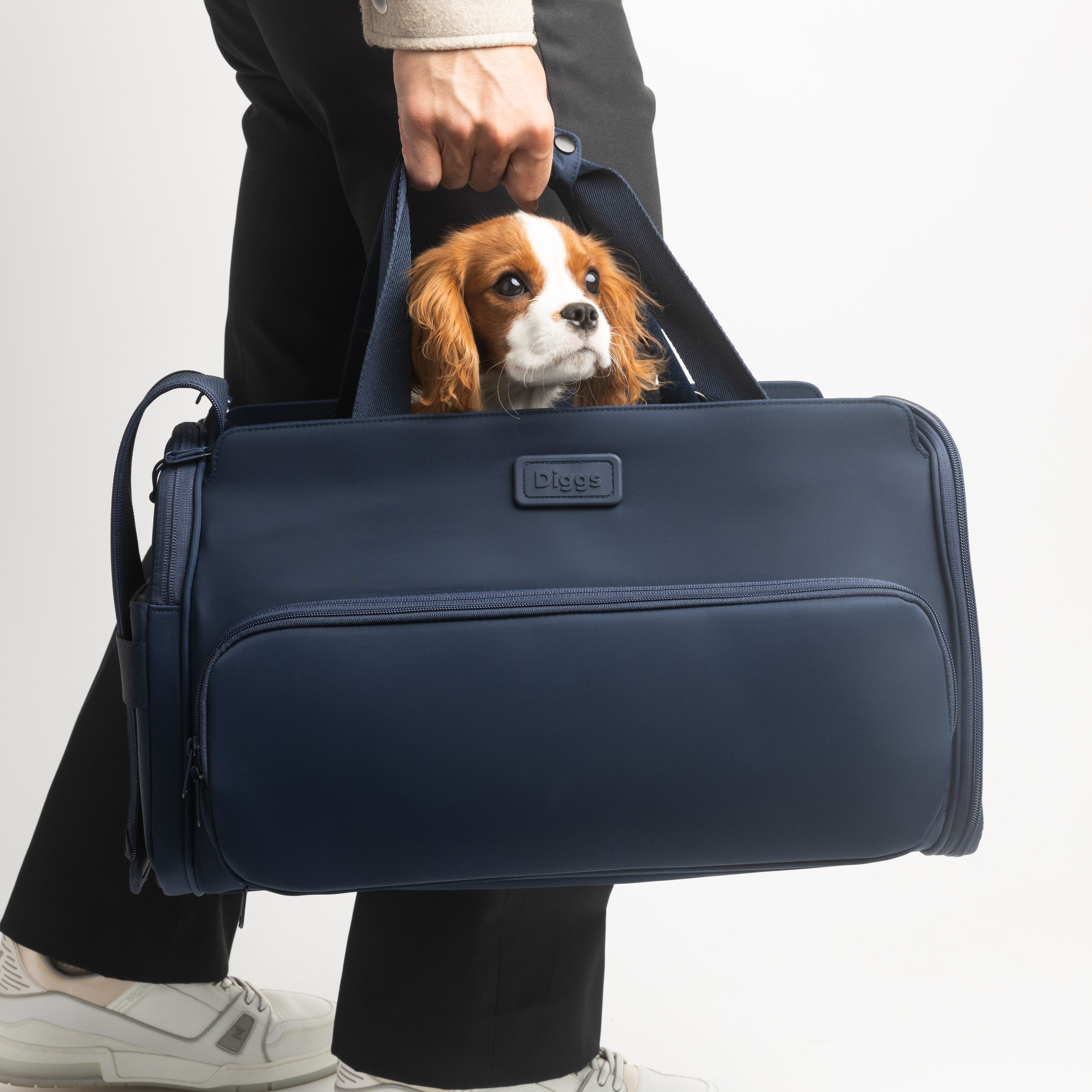 Best dog carriers for small outlet dogs