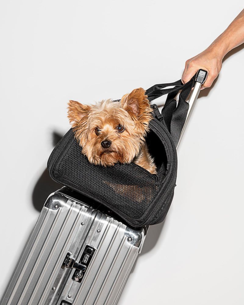 9 Best Dog Carrier Purses (February 2024: Reviews) - The Goody Pet