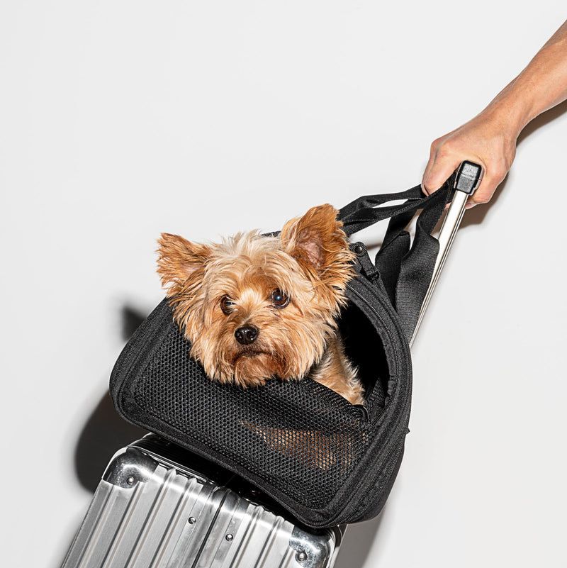 The 11 best pet carriers for 2023 travels