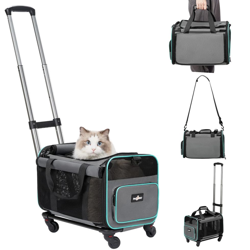 Cat Dog Carrier with Wheels Airline Approved, Rolling Pet Carrier on Wheels  Hold up to 22 lbd.