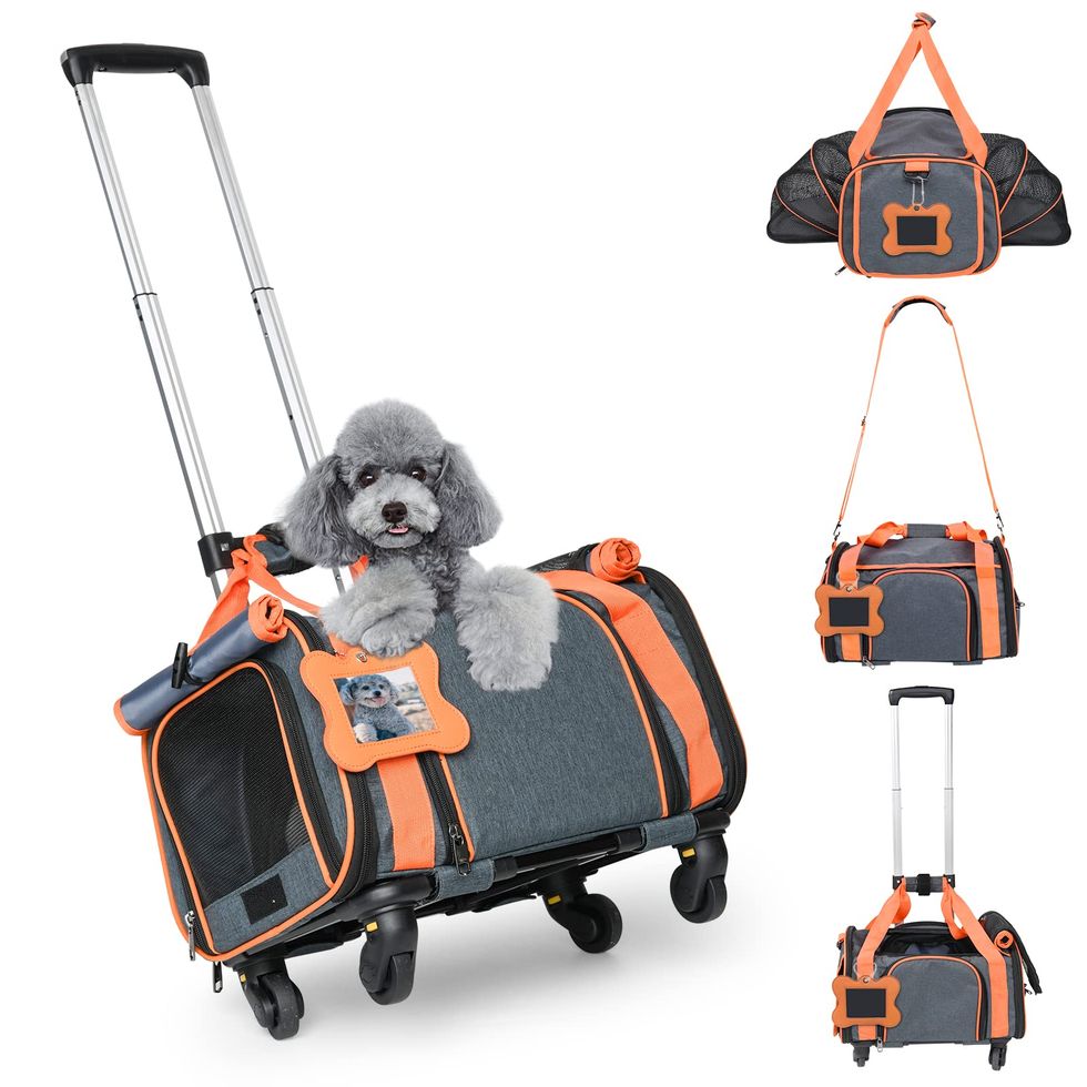 Dog Carrier Cat Travel Bag with Mat for Small Dogs Cats Fashion