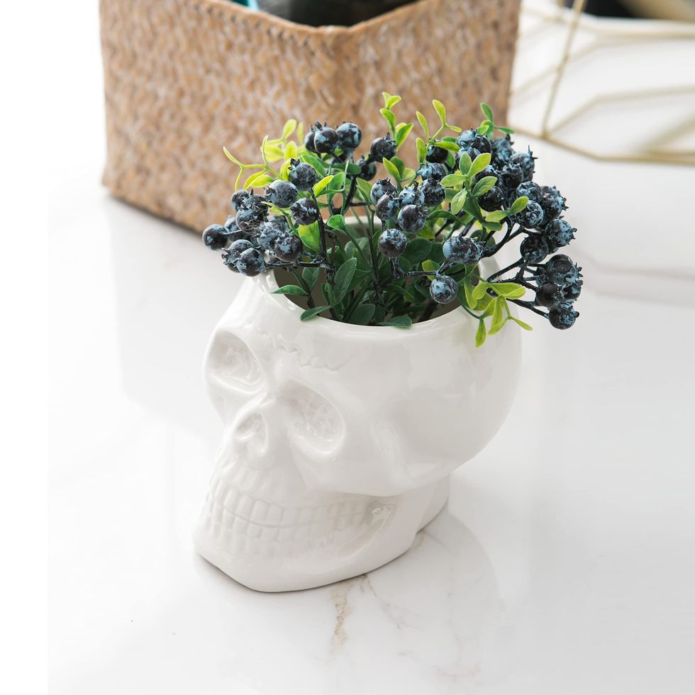 Skull Flower Pot Planter 