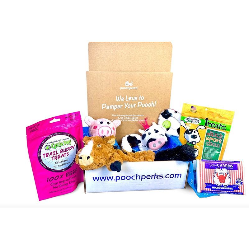 8 Best Dog Subscription Boxes For The Good Boys And Girls