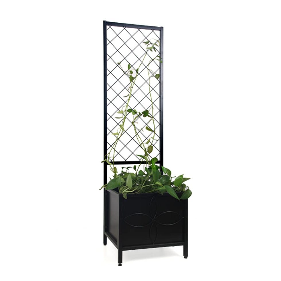 Raised Garden Bed with Trellis Raised Garden Bed with Trellis