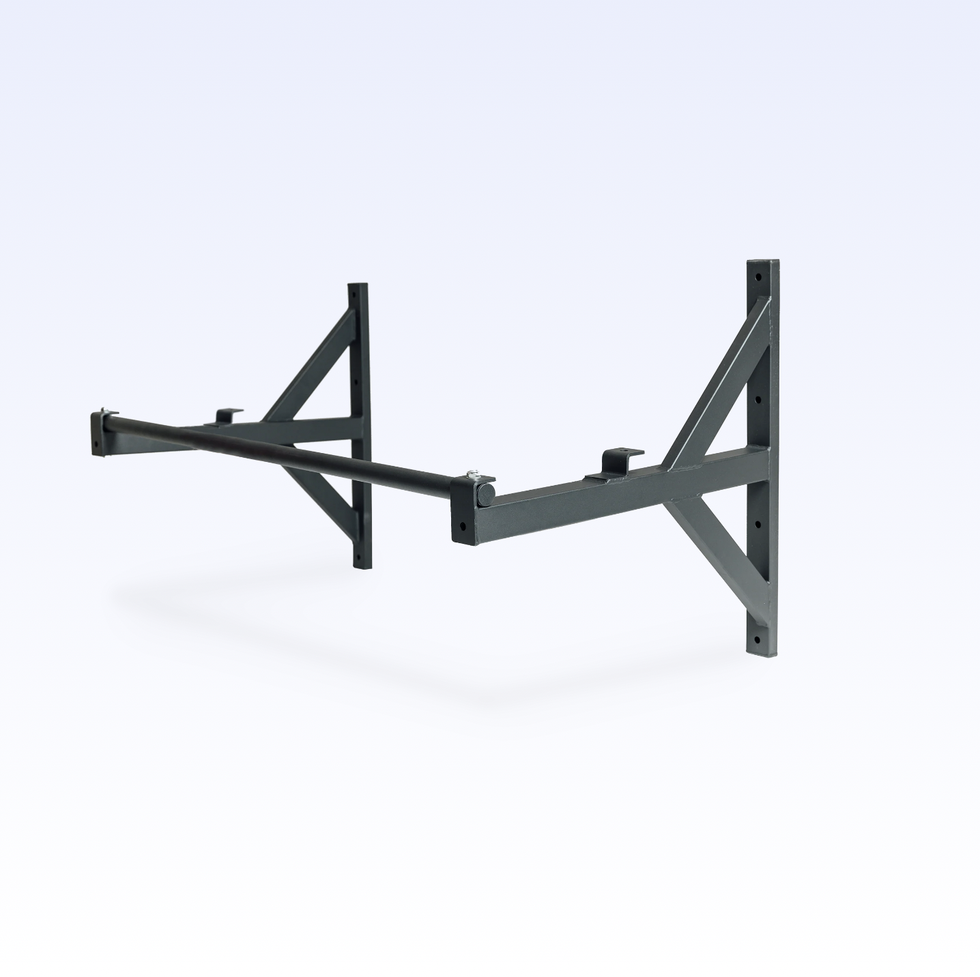 Wall or Ceiling Mount Pull-Up Bar