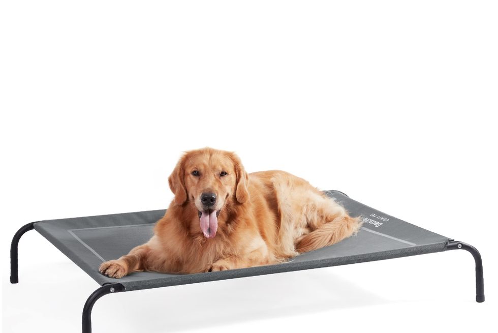 Cooling Dog Bed 