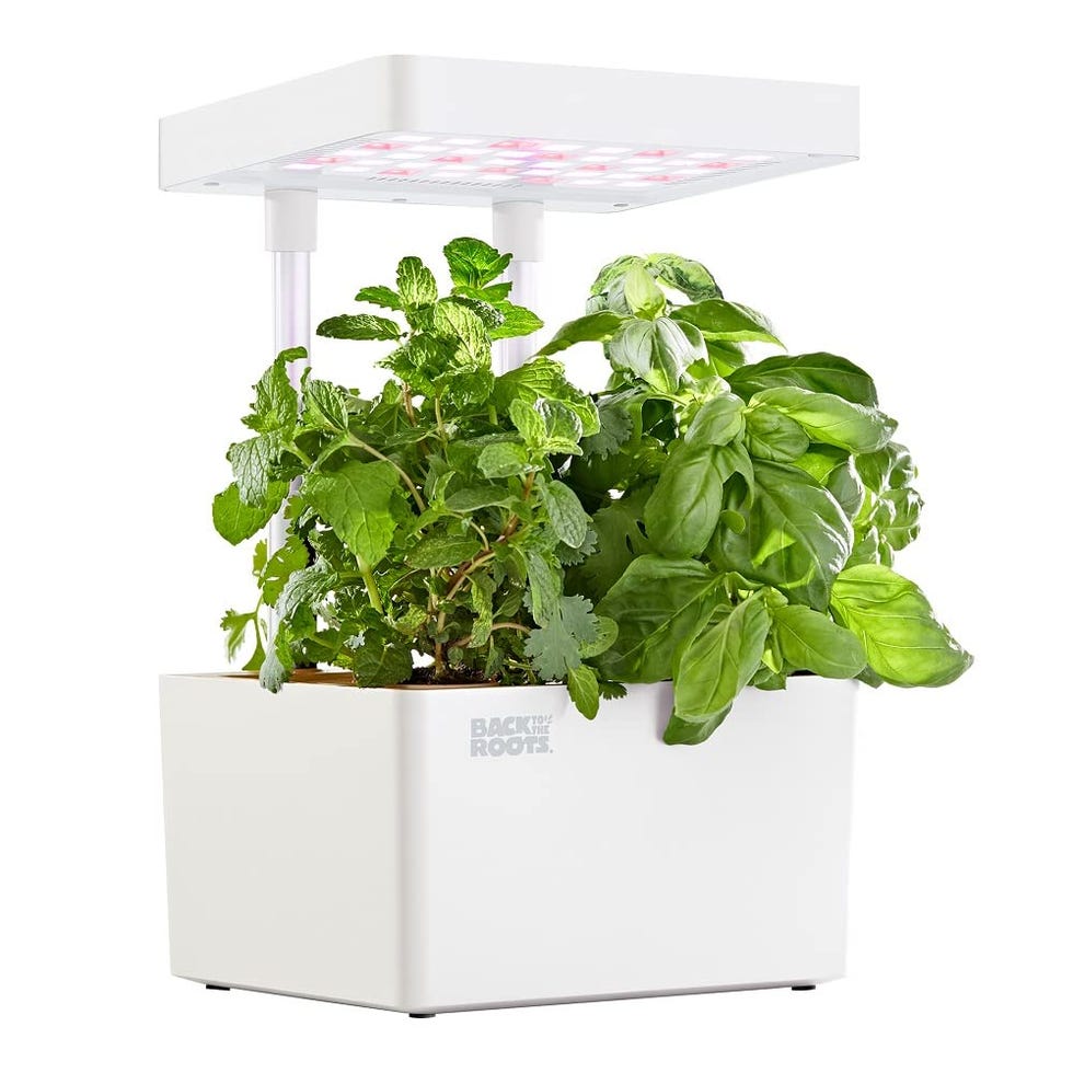 Hydroponic Grow Kit Hydroponic Grow Kit
