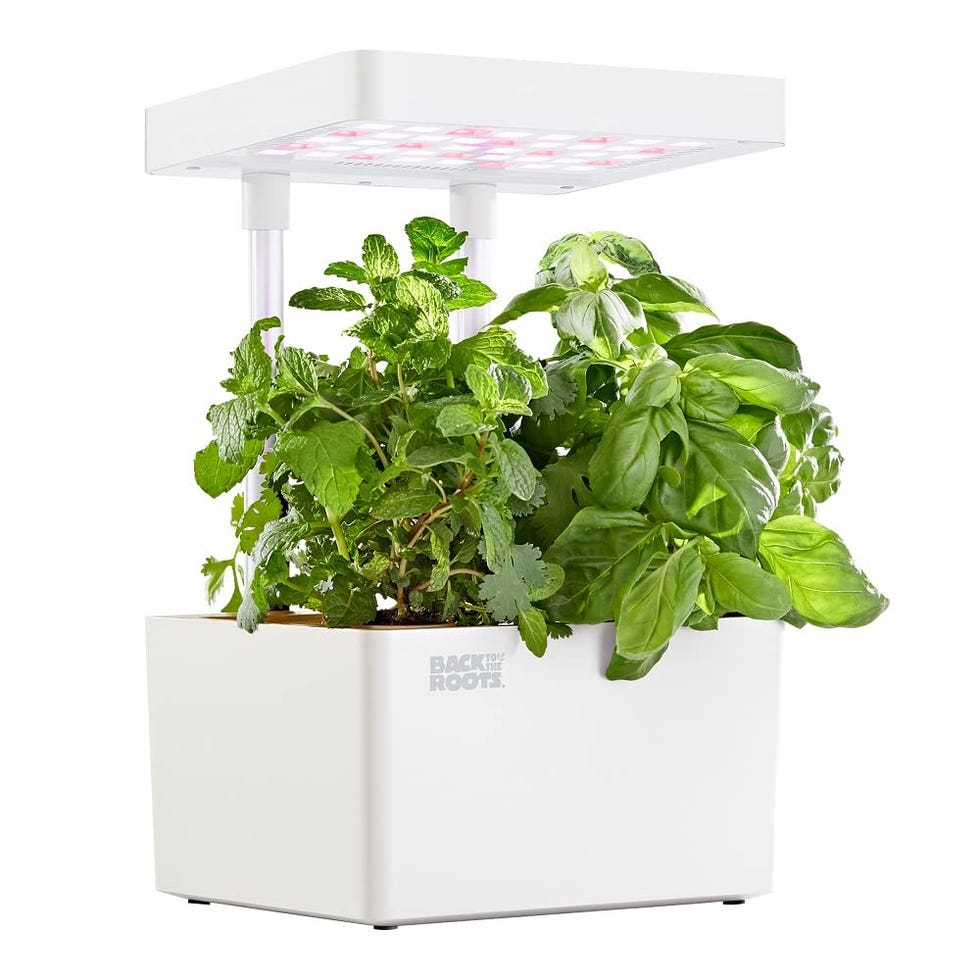 Hydroponic Grow Kit