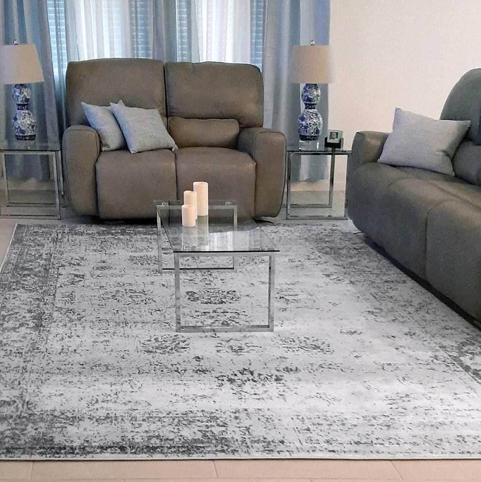 Sofia Collection Area Rug 