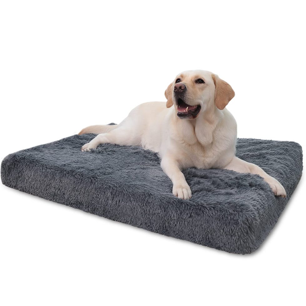 Washable Orthopedic Dog Bed