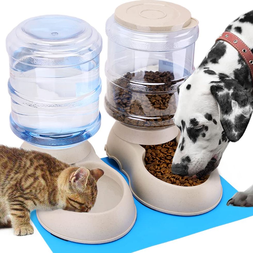 Automatic Feeder and Water Dispenser