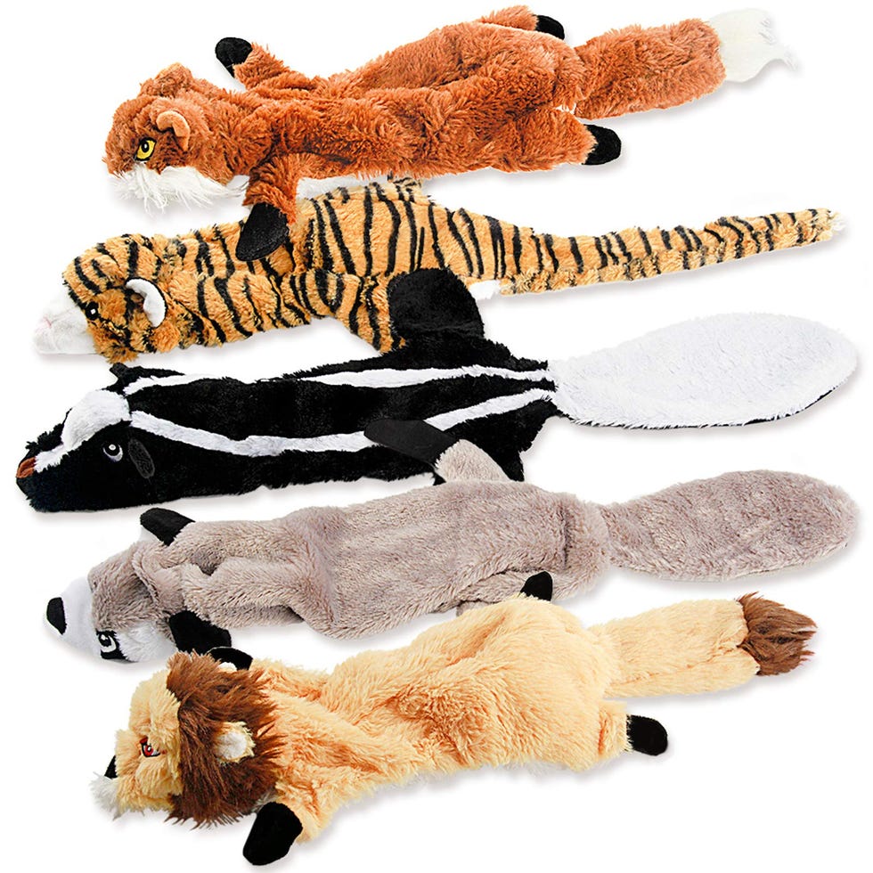 Dog Squeaky Toys Dog Squeaky Toys