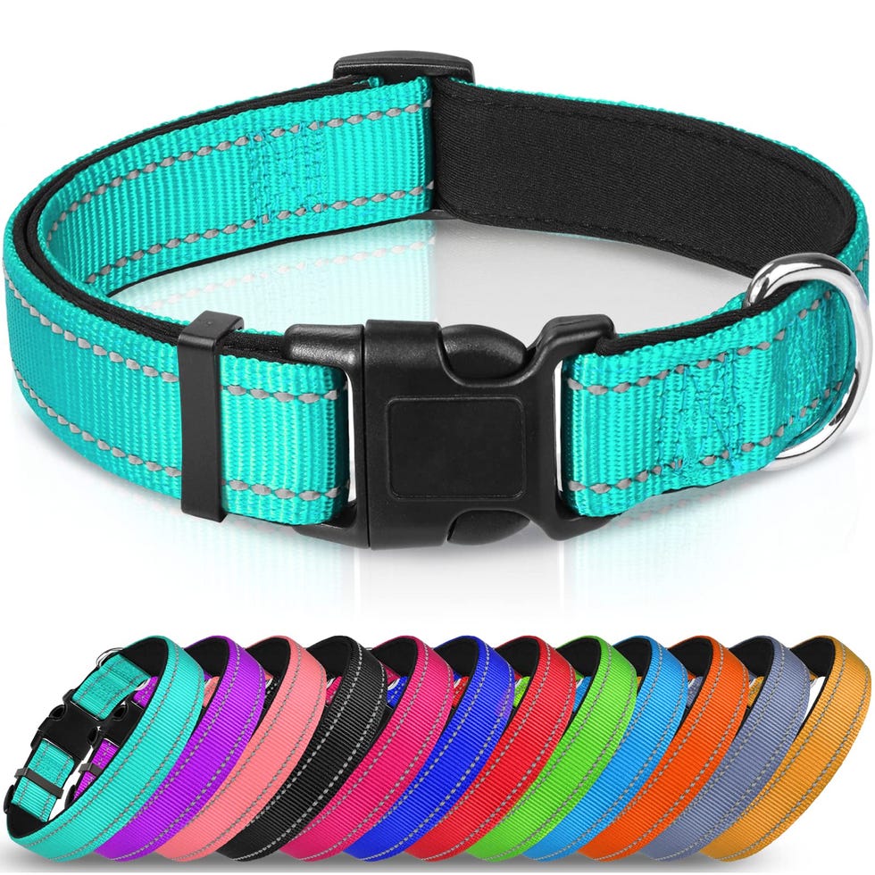 Reflective Dog Collar