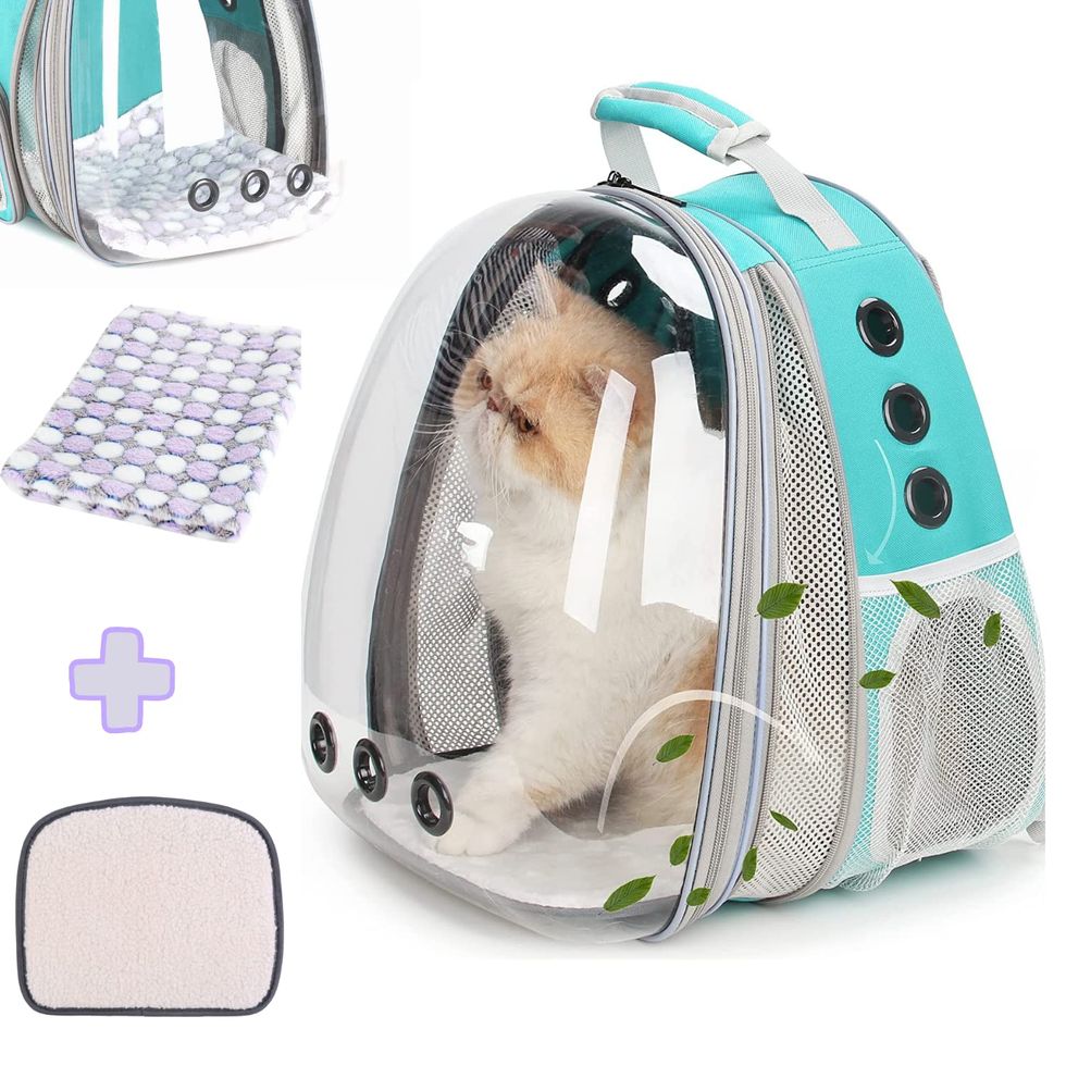 Bubble Pet Backpack Carrier for Cat