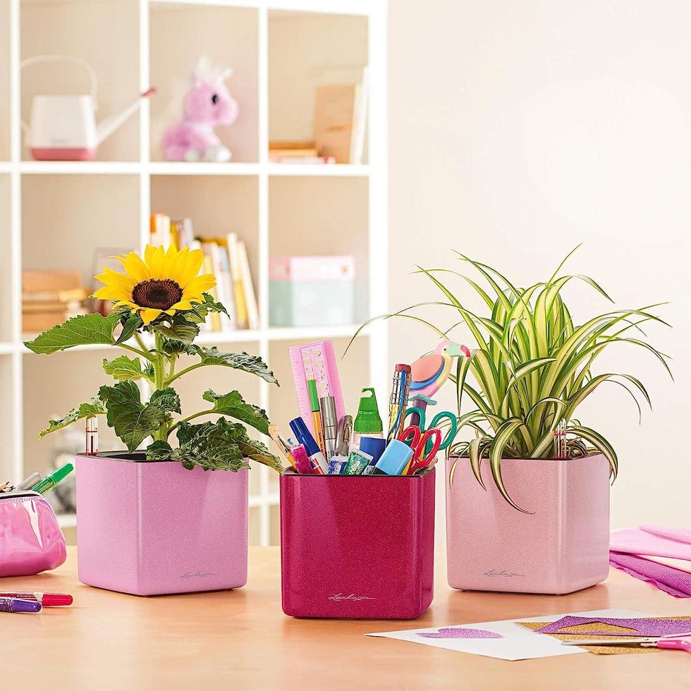 Maceta pequeña con riego para interior