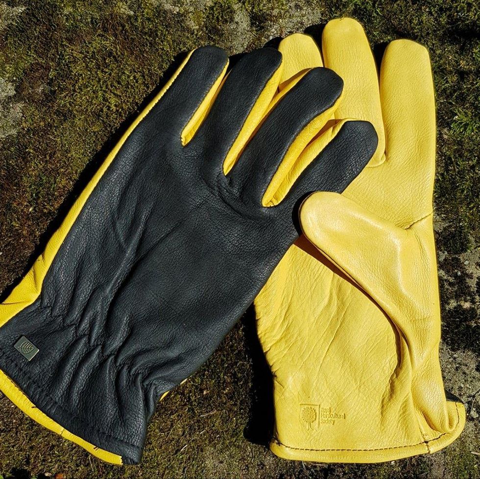 Gold Leaf RHS Dry Touch Gloves