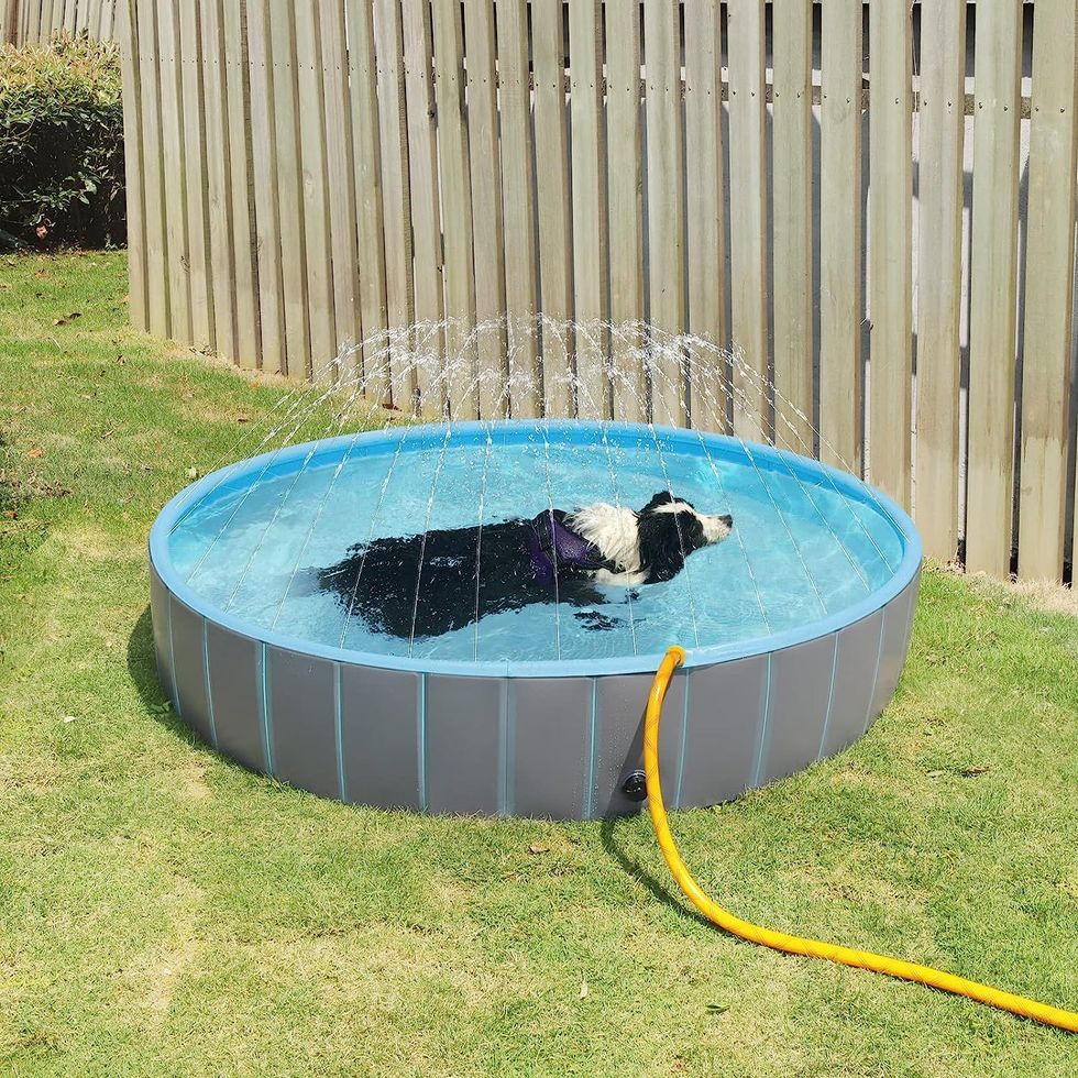 Las mejores piscinas hinchables para perros con aspersor