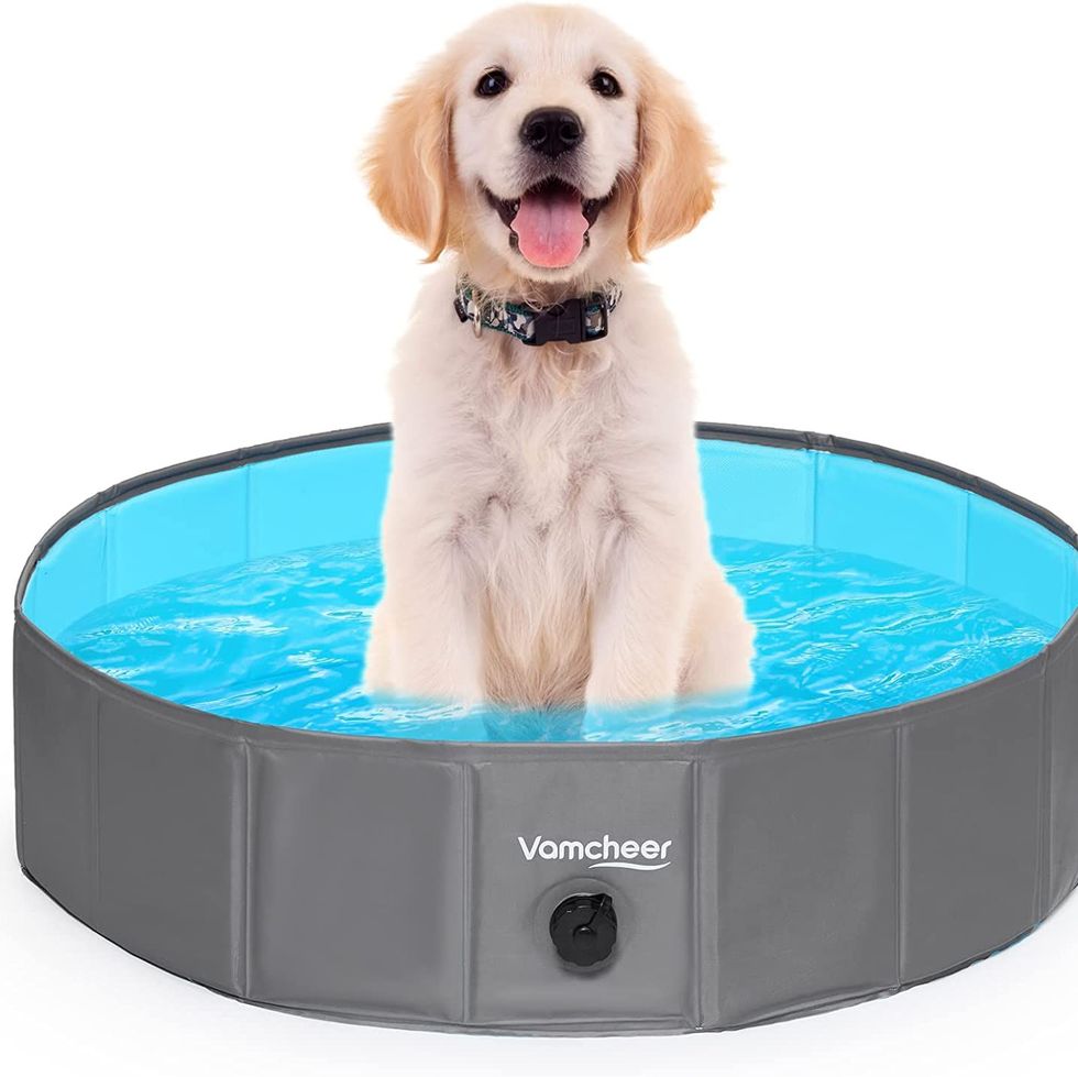 Piscinas para perros grandes resistentes, duraderas, resistentes a  pinchazos, piscina portátil para perros, gatos y niños, mascotas, para  cachorros