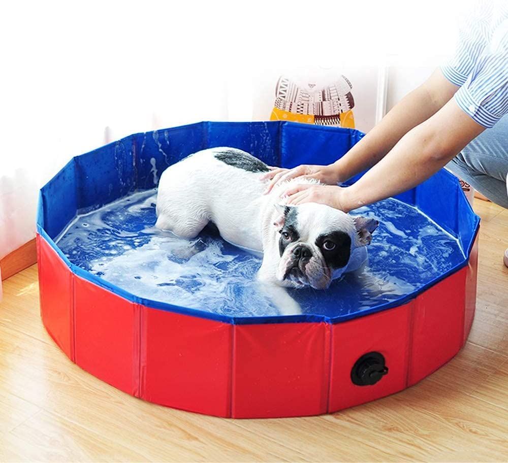 Cama flotante para perro hot sale