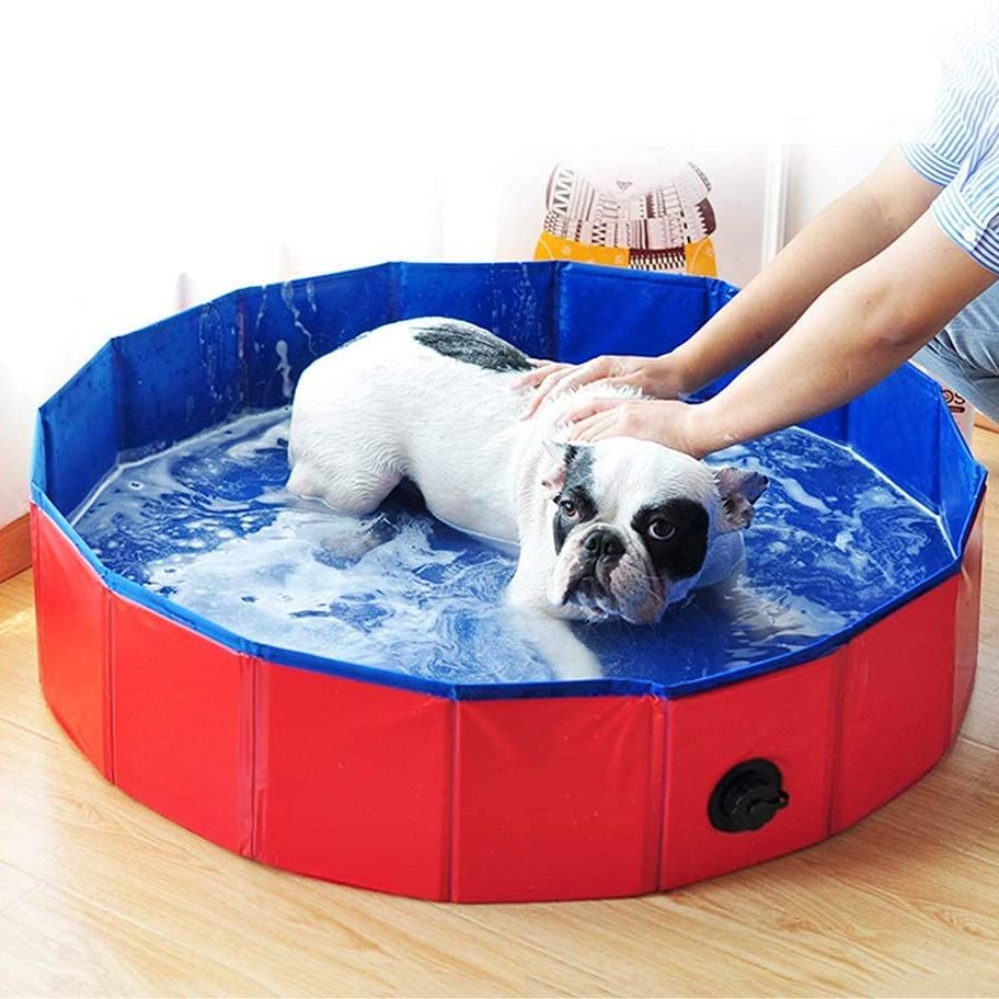 30 Piscinas y accesorios para perros muy divertidos para que disfruten un  verano sin calor