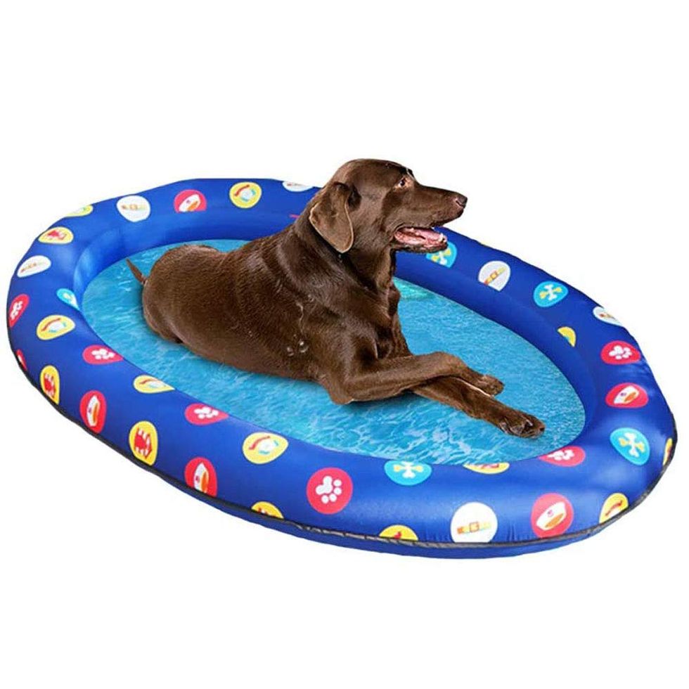 Tres piscinas de perros pequeñas para poner en tu terraza o jardín y que la  ola de calor sea pan comido