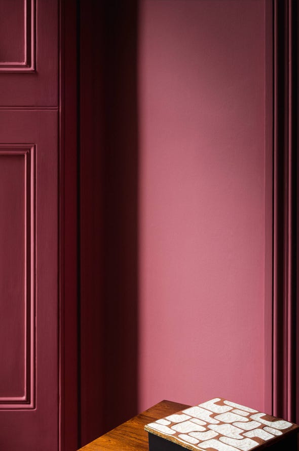 Rhubarb