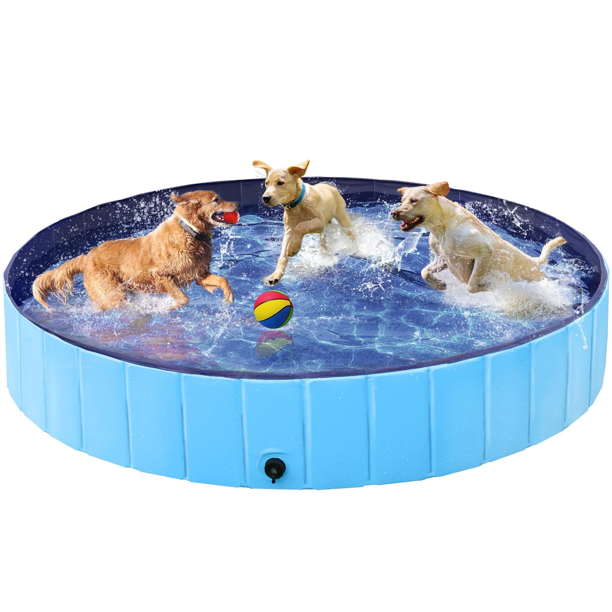 Dog deals paddling pool