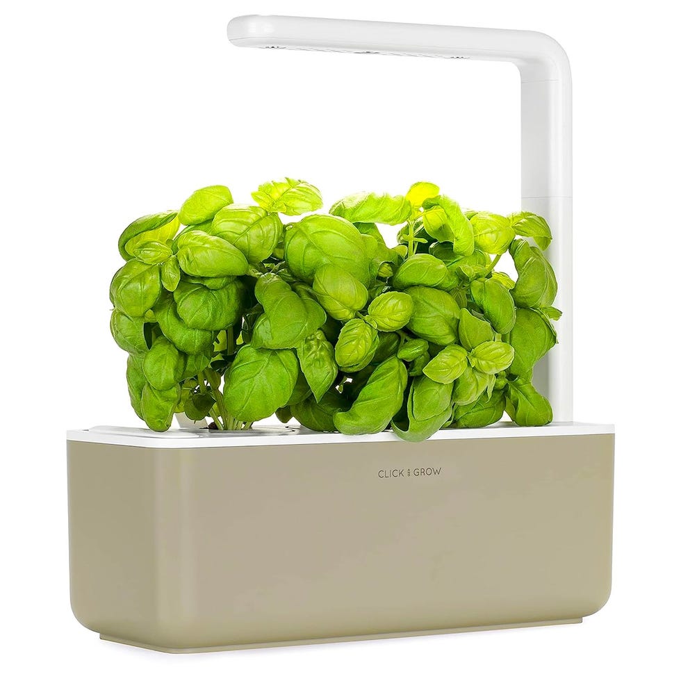 Indoor Herb Garden Kit with Grow Light