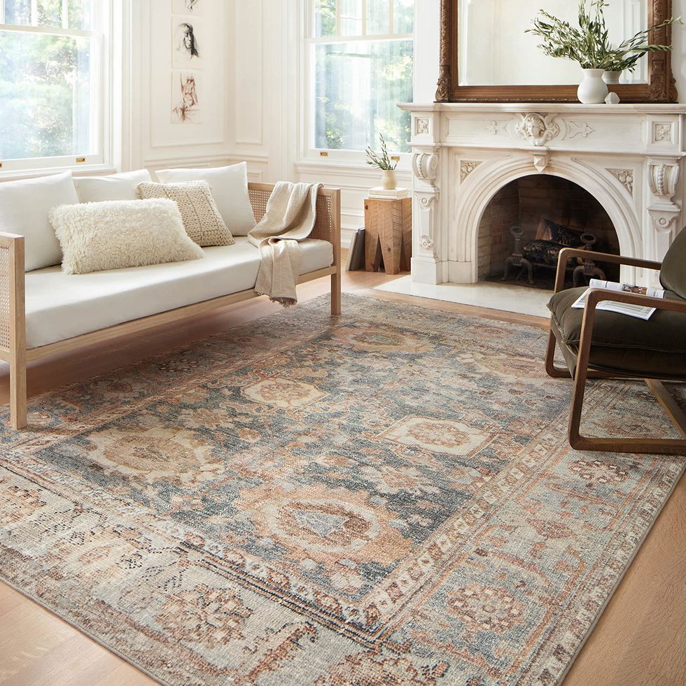 Margot Collection Area Rug 